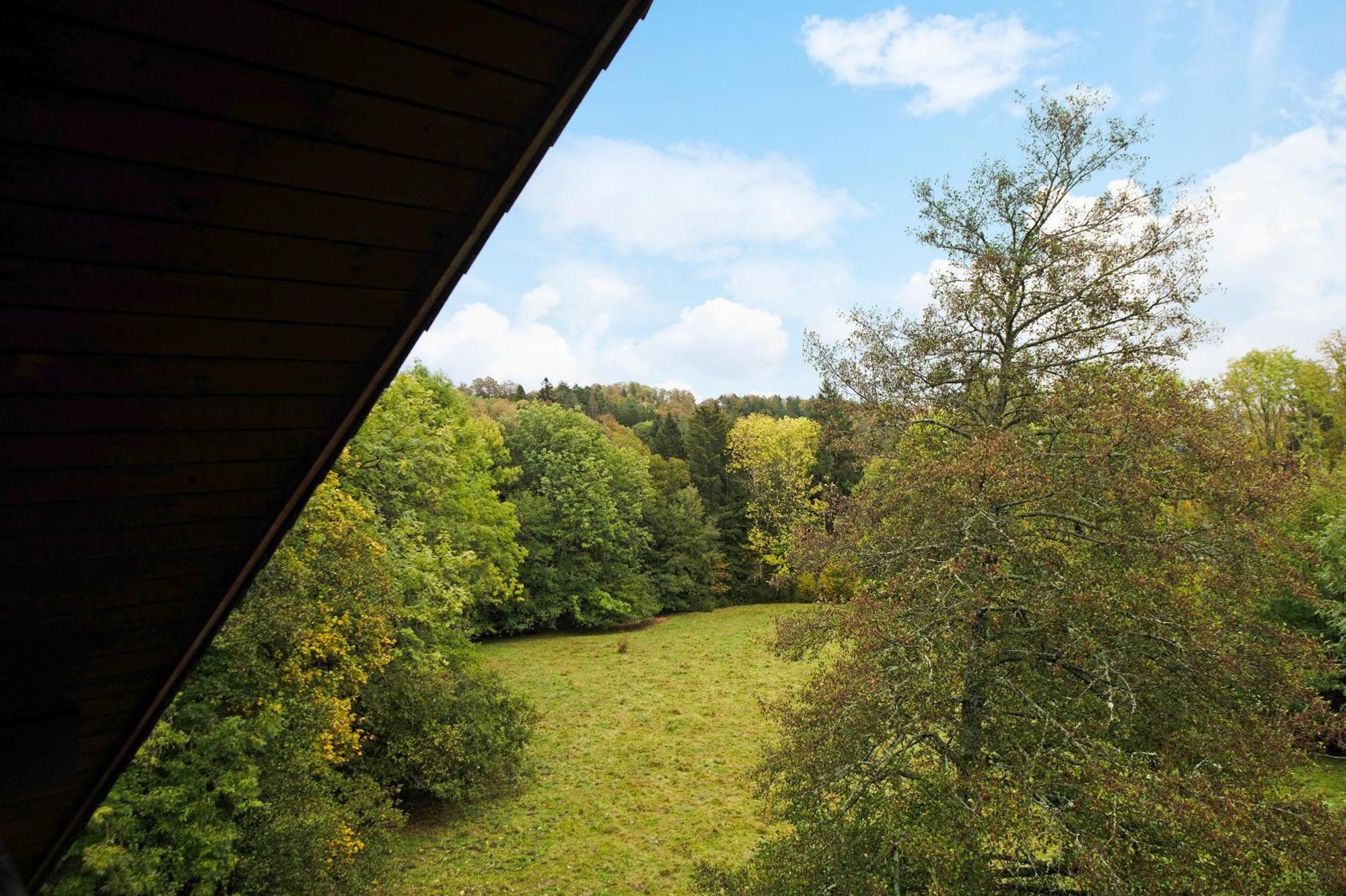 Landhaus Am Schmiedebach Wittenschwand Ngoại thất bức ảnh